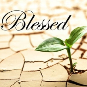 Blessed Are!